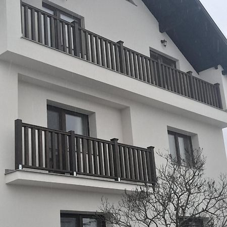 Casa Carmen Hotel Poienile Izei Exterior photo